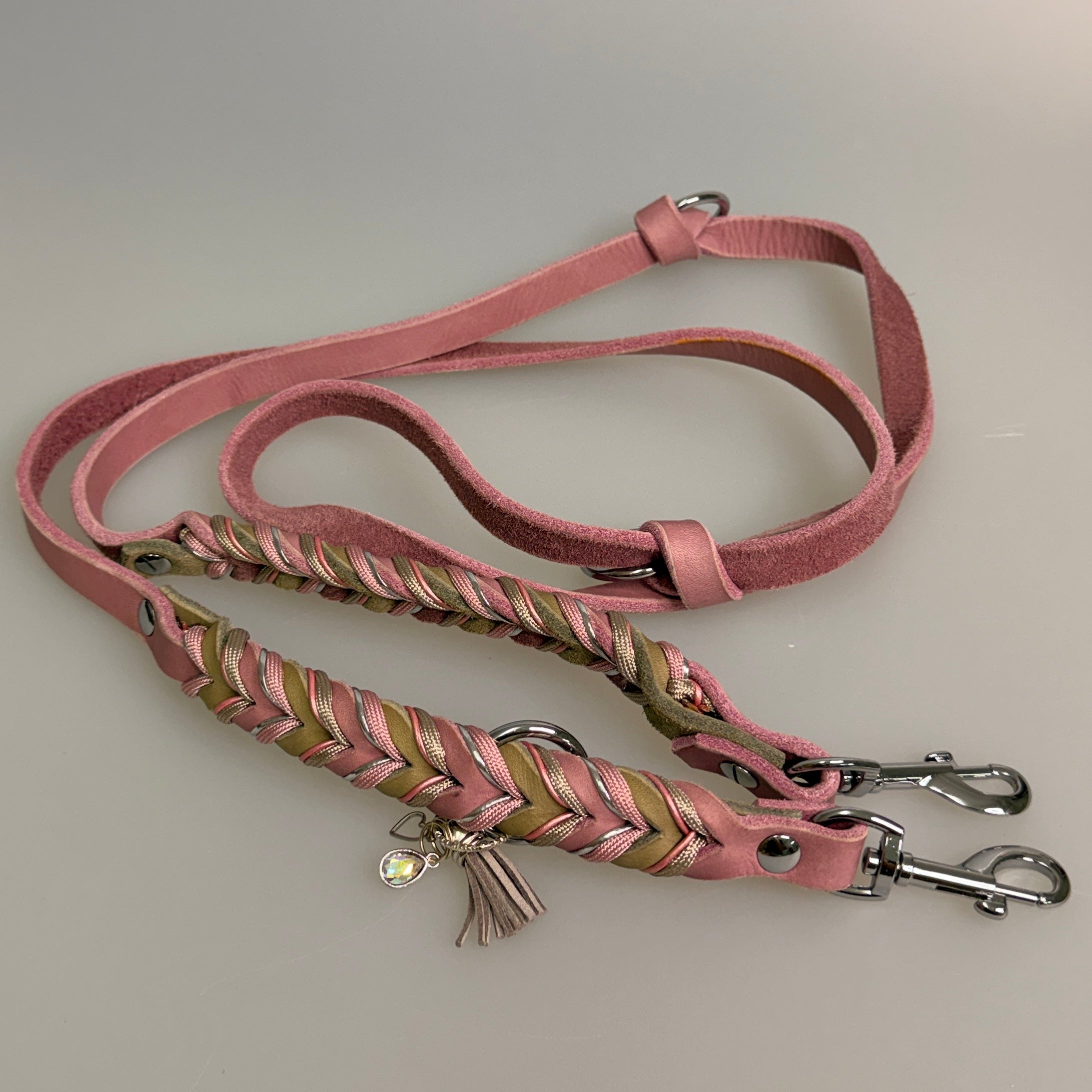 Leder Leine für kleine Hunde