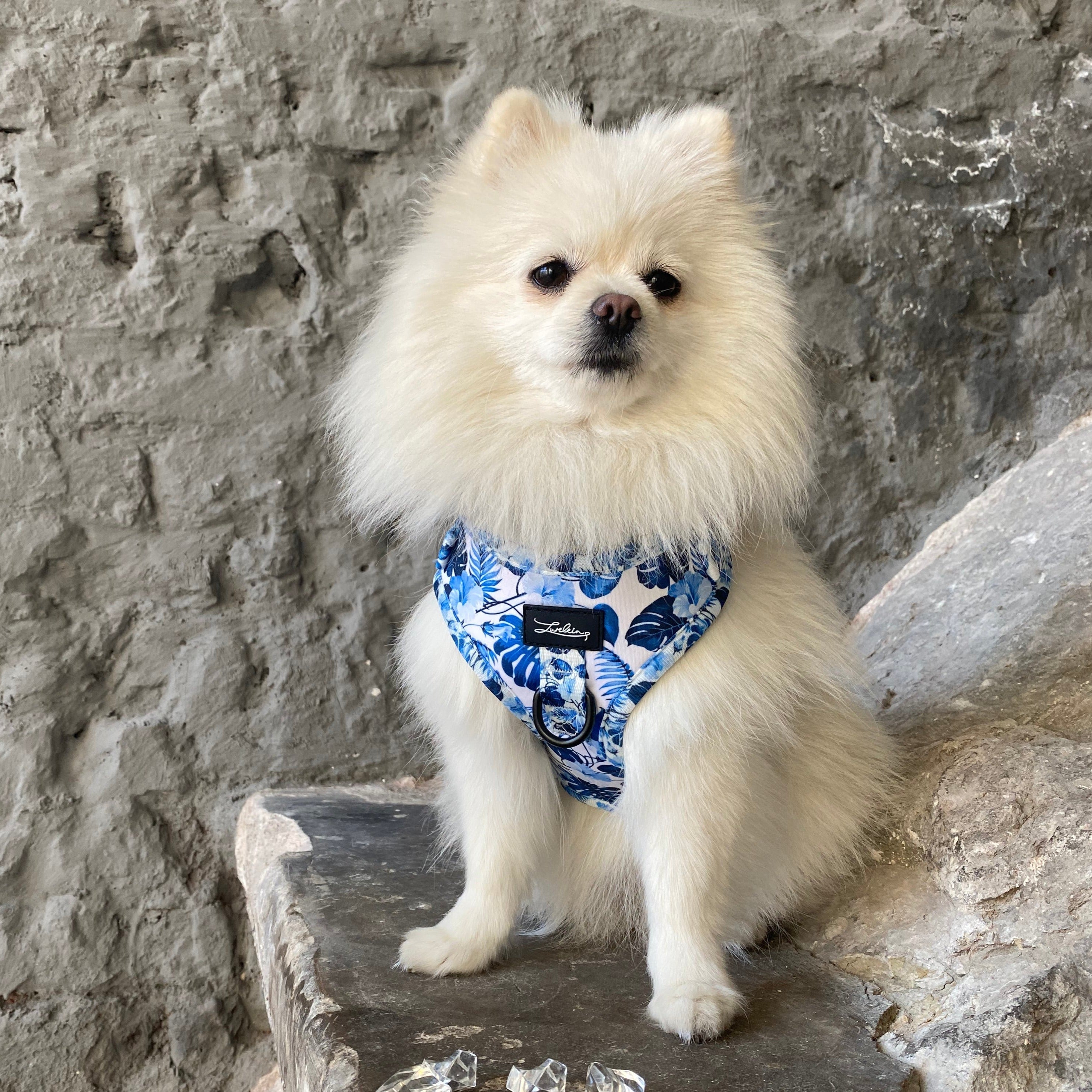 Hunde Geschirr "Blue Jungle" - Lurelein