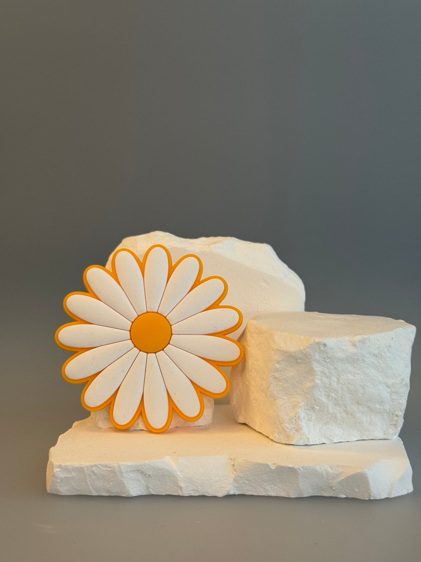 Charms Gänseblümchen