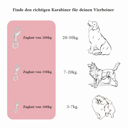 Hundeleine 6-fach Ice Blue | in 6 Längen verstellbar