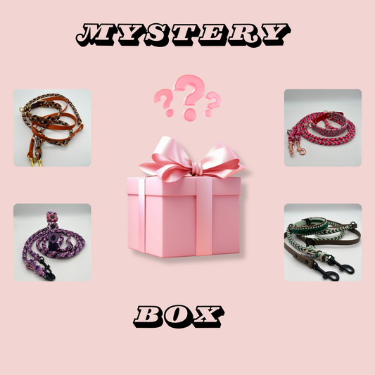 Mystery Box Set Leine & Halsband