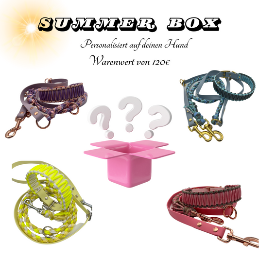 Summer Box Lurelein Edition